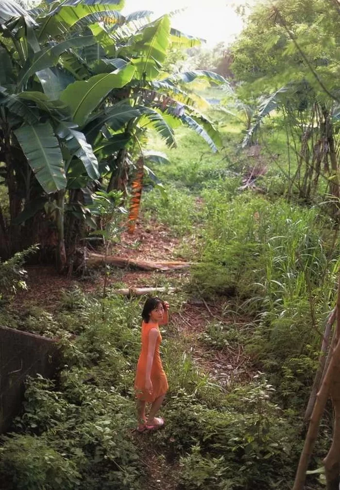 前田亜季 水着 ビキニ ランジェリー 下着 グラビア 写真集 子役時代 チャイドル NHK教育 天才てれびくん てれび戦士 バトル・ロワイアル あっぱれさんま大先生 アメリカ・ボストン留学