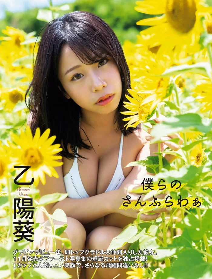 陽葵 乙陽葵 ヌード 濡れ場 水着 ビキニ ランジェリー 下着 グラビア 写真集 乙パイ